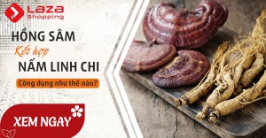 Nấm linh chi kết hợp hồng sâm - Hiệu quả gấp đôi!