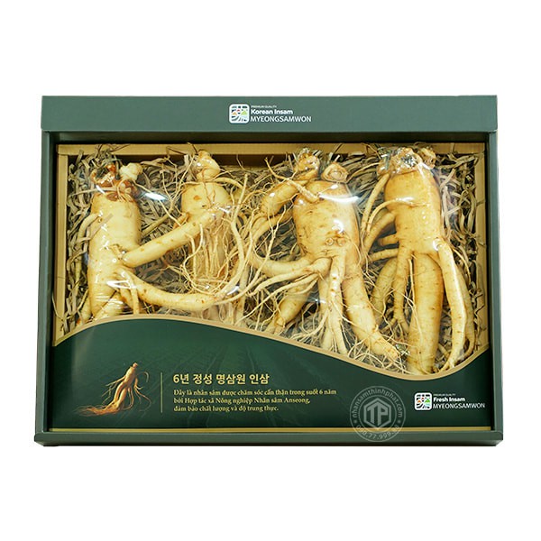 Nhân sâm tươi Hàn Quốc loại 1 nhập khẩu kg 4 củ