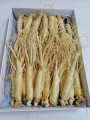 Nhân sâm tươi Hàn Quốc loại 1 nhập khẩu kg 20 củ