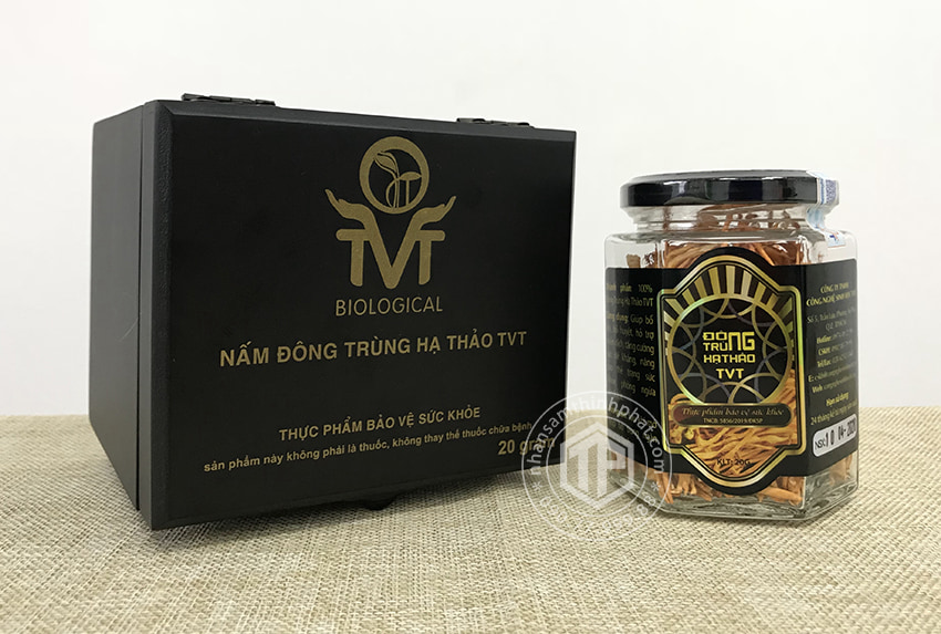 Đông trùng hạ thảo khô Việt Nam hộp 20g Đông trùng hạ thảo khô Việt Nam hộp 20g