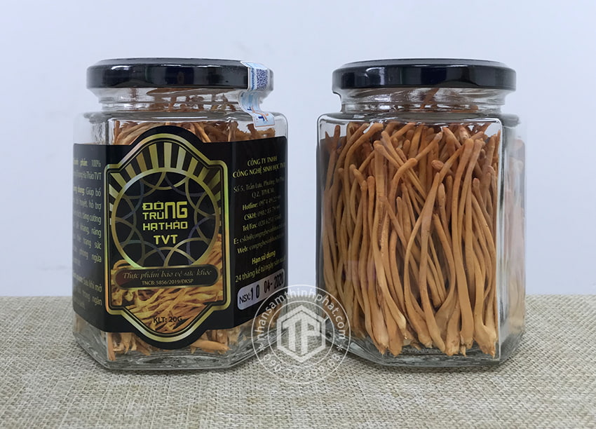 Đông trùng hạ thảo khô Việt Nam hộp 20g Đông trùng hạ thảo khô Việt Nam hộp 20g