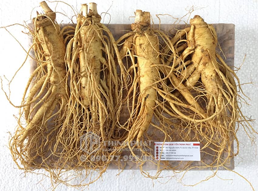 Nhân sâm tươi Hàn Quốc loại 4 củ 1 kg